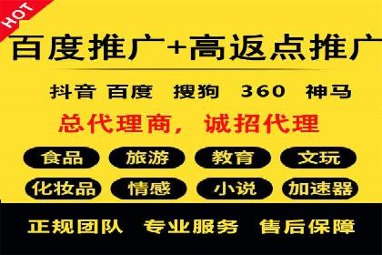 百度SEO推广案例解析与效果评估